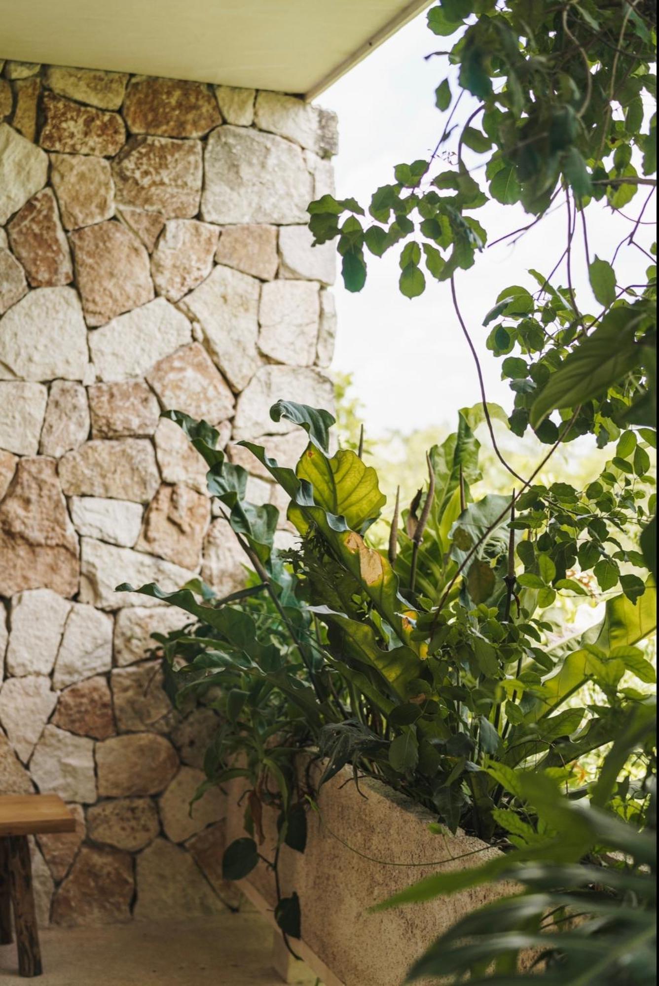 Teva Tulum, Aldea Zama Apartment Exterior foto
