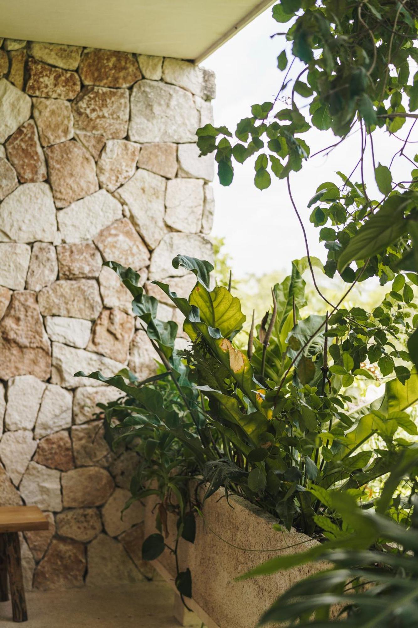 Teva Tulum, Aldea Zama Apartment Exterior foto